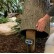 Faux Oak Stump Cover