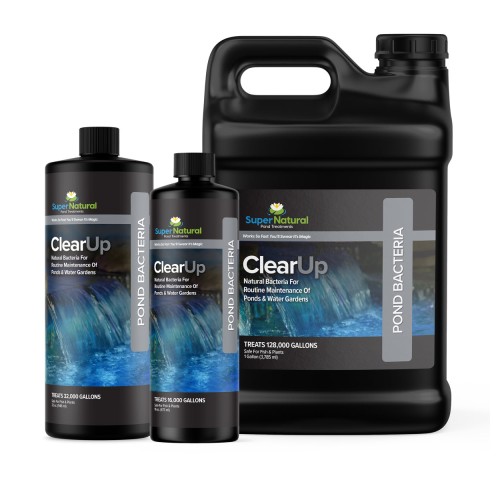 ClearUp Pond Bacteria with Enzymes from SuperNatural ClearUp Pond Bacteria with Enzymes from SuperNatural