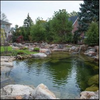 Swimming Ponds - Recreational Pond Kits