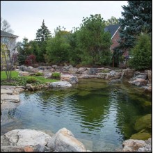 Swimming Ponds - Recreational Pond Kits