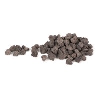 Bio-Rocks Media from Atlantic® 