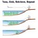 Aquatic Weed Cutter & Aquatic Weed Rake