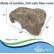 Faux Rock Caves & Faux Logs For Fish