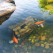 Faux Rock Caves & Faux Logs For Fish