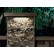 Kichler Hardscape Lights - 3000K