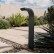 Kichler Curved Path Lights