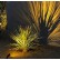 Kichler Cast Brass MR8 Accent Light Kichler Cast Brass MR8 Accent Light