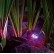 ProfiLux Garden LED RGB Spotlight (Set of 3) Kit  by Oase®
