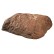 Rock Lids by Atlantic®