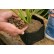 Aquatic Flexible Planters from Aquascape® 