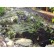 Tent Style Pond & Garden Ultra™ Nets by Atlantic®