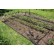 Tent Style Pond & Garden Ultra™ Nets by Atlantic®