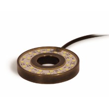 Brass Light Ring - SOL™ Warm White LED Submersible Light Ring from Atlantic
