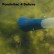 PondoVac™ Pond Vacuums by Oase®