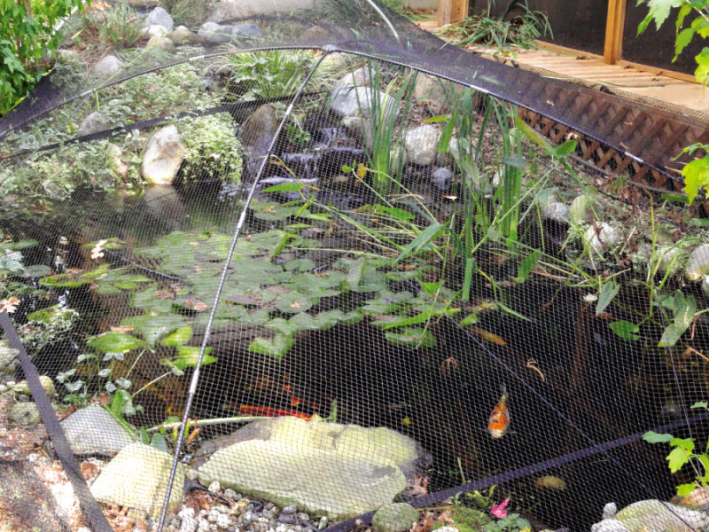Get A Wholesale bird netting fish pond For Property Protection 